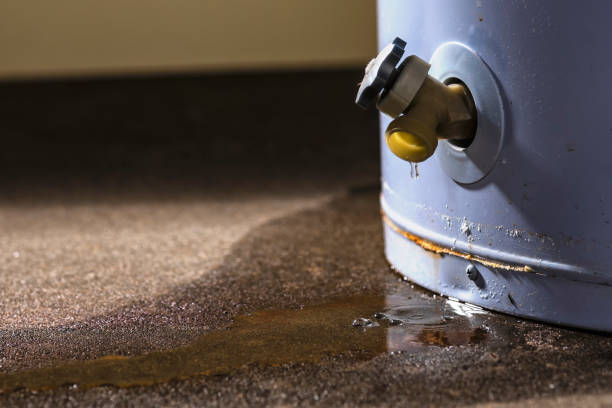 Best Carpet and Upholstery Water Damage Restoration in Huntland, TN